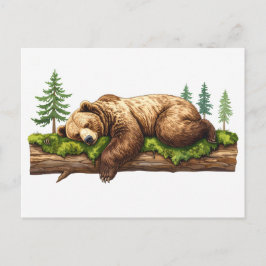 Postal Ilustracion Forestal Pacífico Grizzly Bear