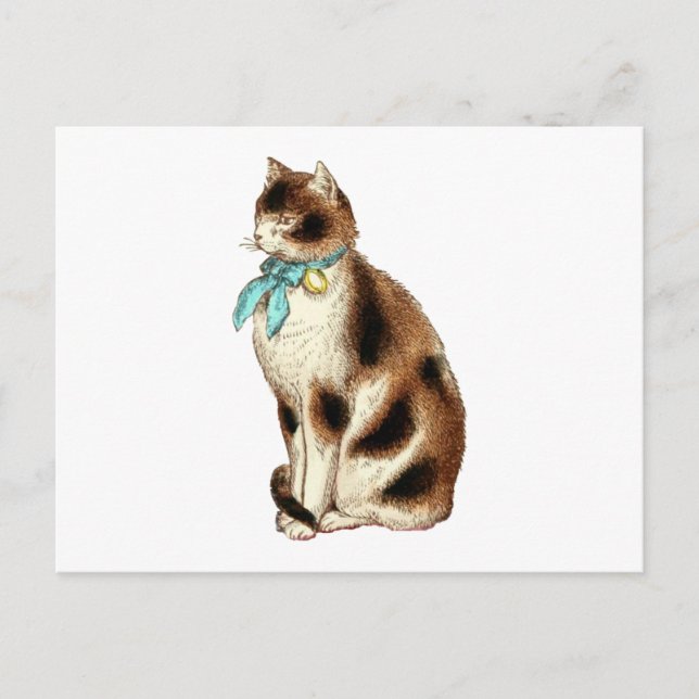Postal Ilustracion Gato Vintage (Anverso)