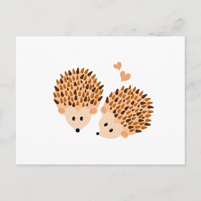 Postal Ilustracion Hedgehogs (Anverso)
