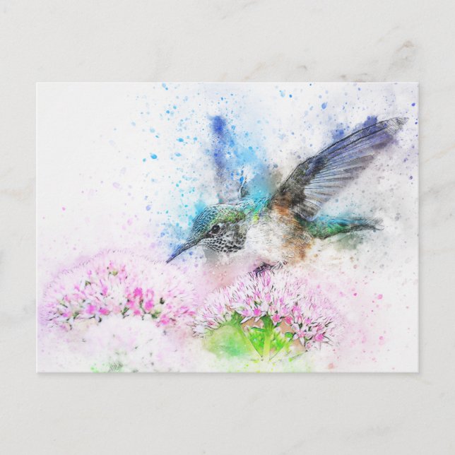 Postal Ilustracion Hummingbird (Anverso)