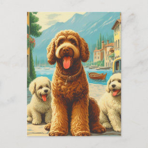 Postal Ilustracion Lagotto Romagnolo