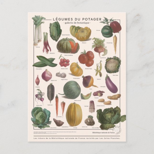Postal Ilustracion légumes (Anverso)