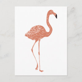 Postal Ilustracion lindo rojo flamingo linocut