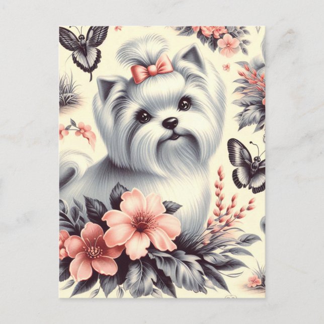 Postal Ilustracion maltés vintage (Anverso)