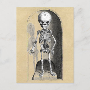 Postal Ilustracion Médico Bidloo (Anterior)