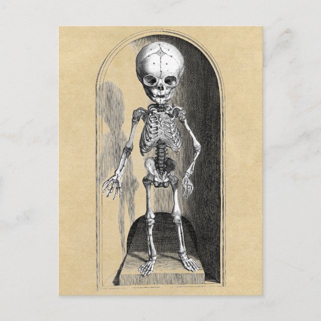 Postal Ilustracion Médico Bidloo (Anterior) (Anverso)