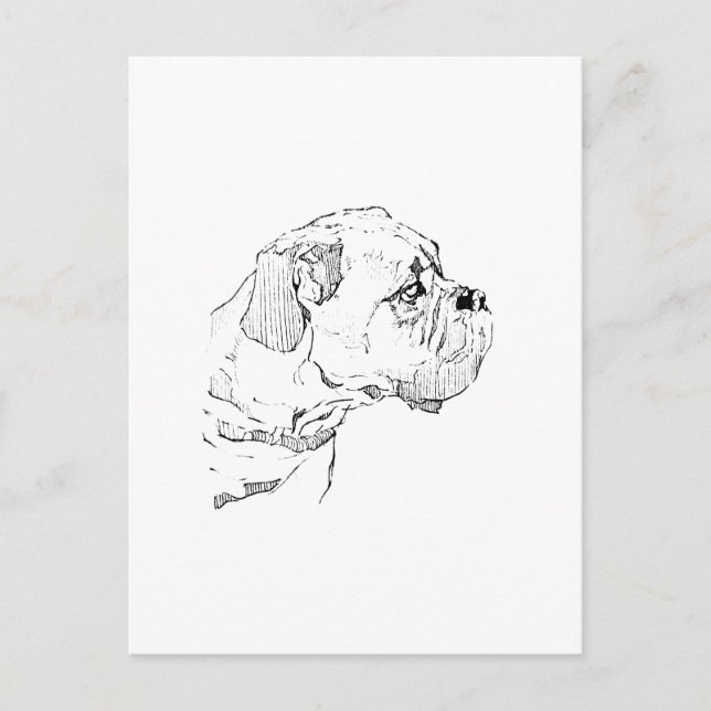 Postal Ilustración minimalista de perro Boxer - Amante de (Anverso)