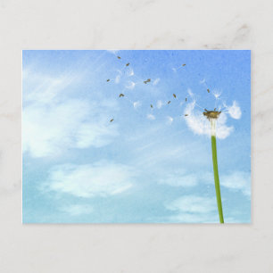 Postal Ilustracion natural del cielo azul de Dandelion