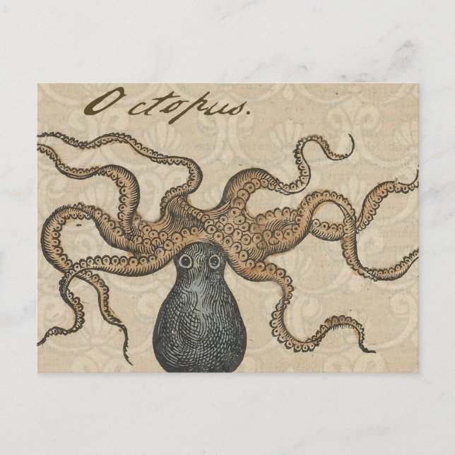 Postal Ilustracion Octopus Kraken Vintage (Anverso)