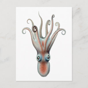 Postal Ilustracion Octopus Vintage