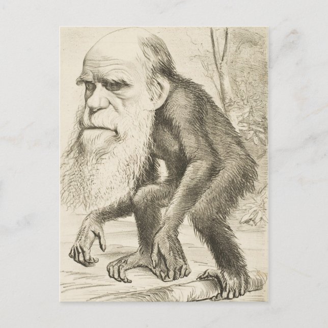 Postal Ilustracion original de Charles Darwin (Anverso)