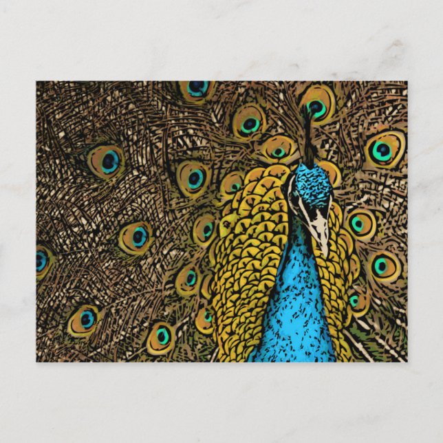 Postal Ilustracion Peacock Splendor (Anverso)