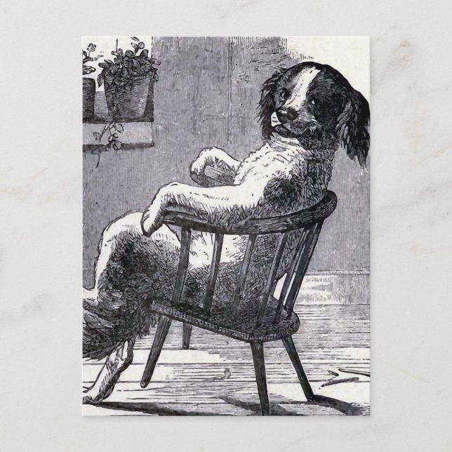 Postal ilustracion "Perro sentado en una silla" (Anverso)