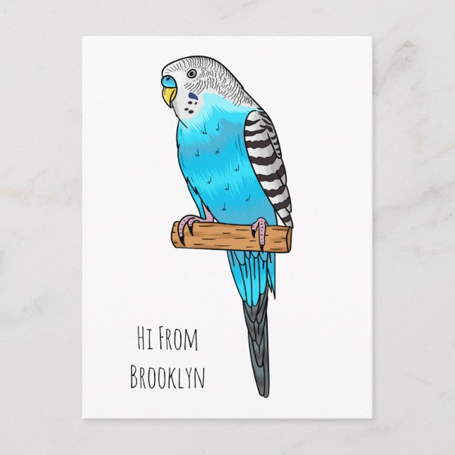Postal Ilustracion personalizado de pájaro budgerigar azu (Anverso)