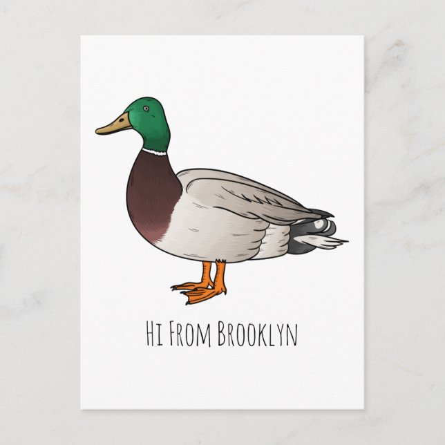 Postal Ilustracion personalizado de pato mallard (Anverso)