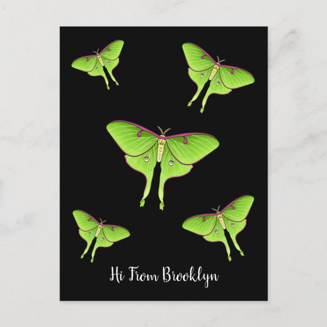 Postal Ilustracion personalizado Luna Moth (Anverso)