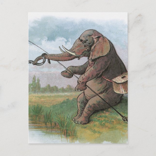 Postal Ilustracion pesquero de Elephant (Anverso)