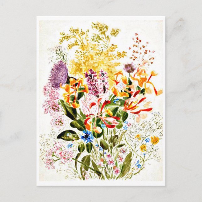 Postal Ilustracion Postcard-Vintage-Beatrix Potter 10 (Anverso)