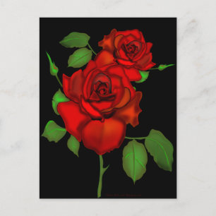 Postal Ilustracion Rojo Rosa