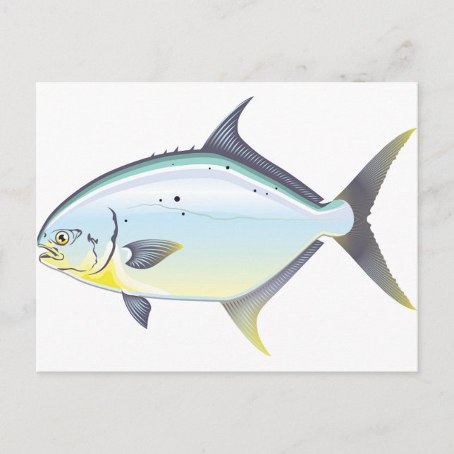 Postal Ilustracion vectorial de peces Pompano Florida (Anverso)