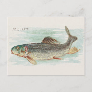 Postal Ilustracion vintage