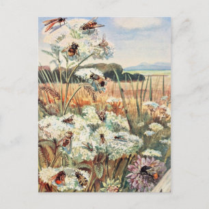 Postal Ilustracion Vintage Bee