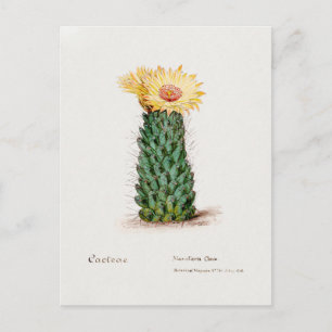 Postal Ilustracion Vintage Beehive Cactus