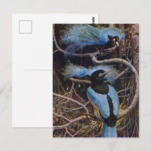 Postal Ilustración Vintage Blue Bird Paradise de Johnston