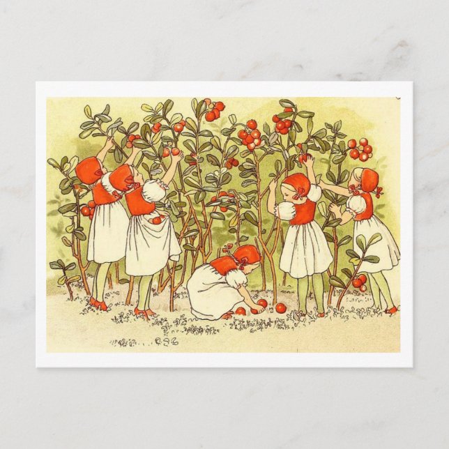 Postal Ilustracion Vintage Blueberry Forest Elsa Beskow (Anverso)