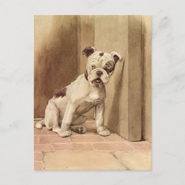 Postal Ilustracion Vintage Bulldog Puppy (Anverso)