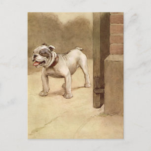Postal Ilustracion Vintage Bulldog Puppy