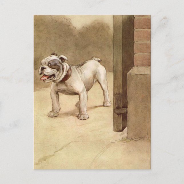 Postal Ilustracion Vintage Bulldog Puppy (Anverso)