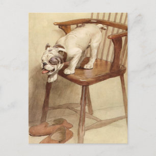 Postal Ilustracion Vintage Bulldog Puppy