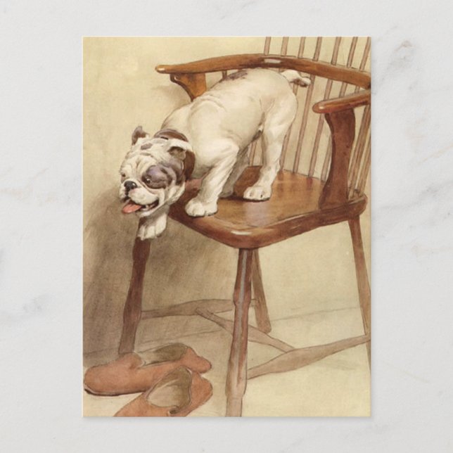 Postal Ilustracion Vintage Bulldog Puppy (Anverso)
