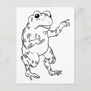 Postal Ilustracion Vintage Bullfrog