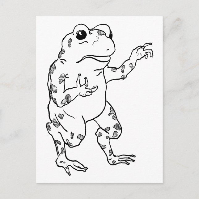 Postal Ilustracion Vintage Bullfrog (Anverso)