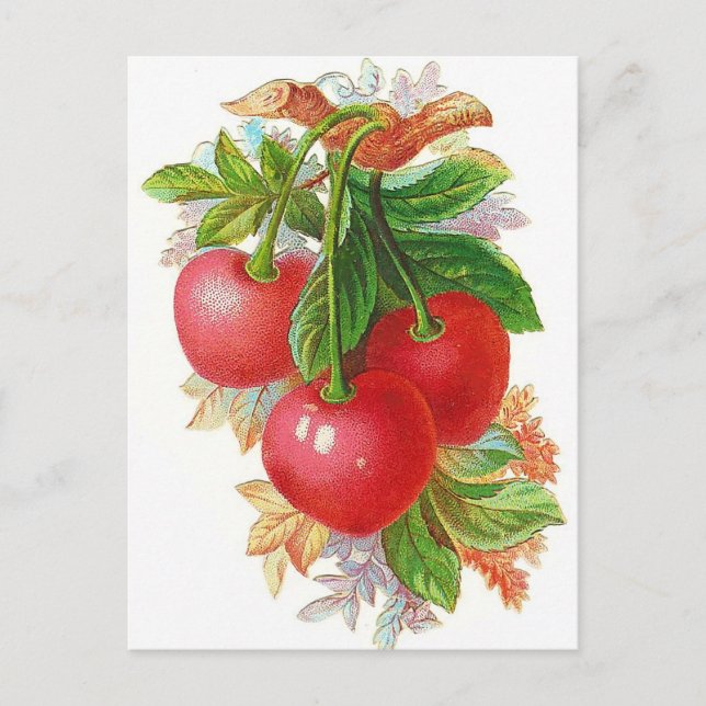 Postal Ilustracion Vintage Cherries (Anverso)