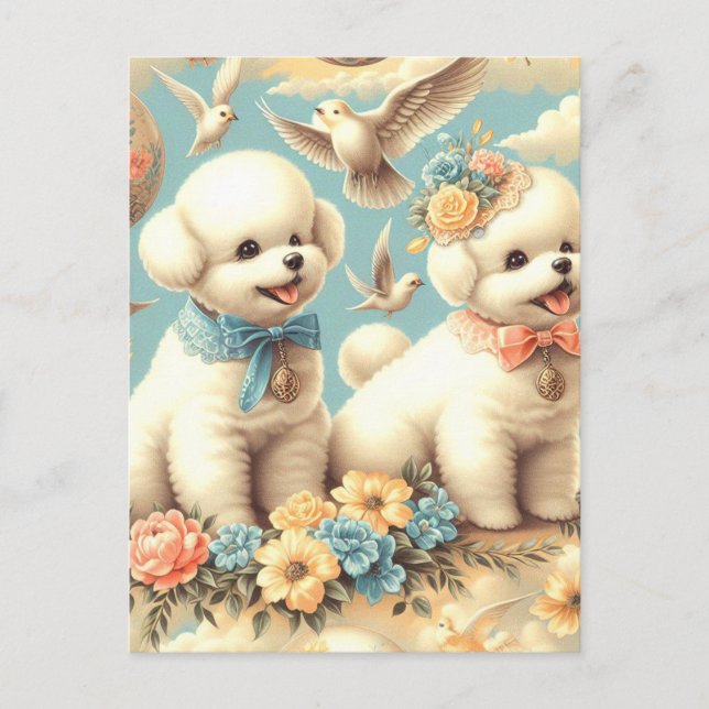 Postal Ilustracion Vintage Cute Bichon Frisé (Anverso)