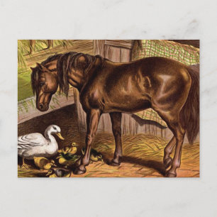 Postal Ilustracion vintage de caballos y duques
