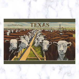 Postal Ilustración Vintage de Ganado en Midland Texas