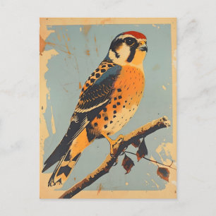 Postal Ilustracion vintage de Kestrel