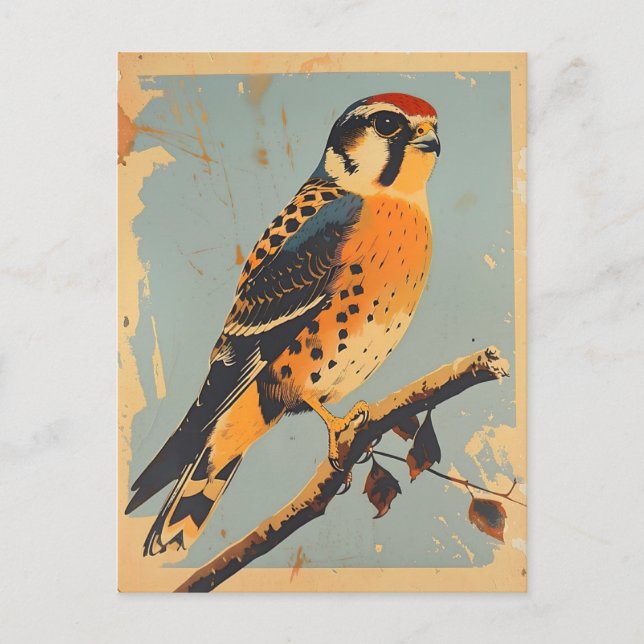 Postal Ilustracion vintage de Kestrel (Anverso)