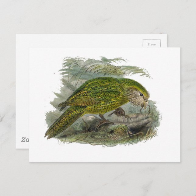 pintura de loro verde