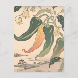Postal Ilustración Vintage de Pimienta Chili