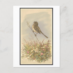 Postal Ilustracion vintage del canto de pájaros con flore