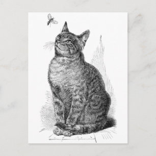 Postal Ilustracion vintage del gato mirando un insecto