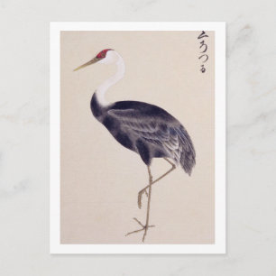 Postal Ilustración vintage: Grulla común