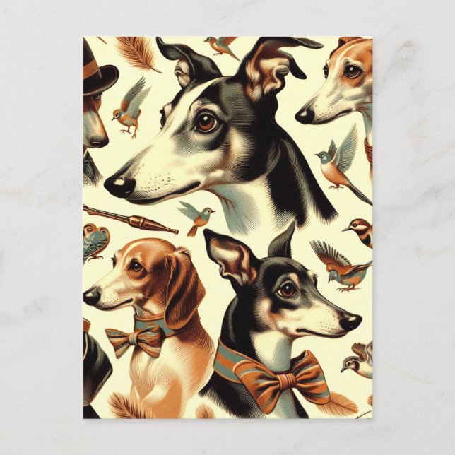 Postal Ilustracion vintage italiano Greyhound (Anverso)