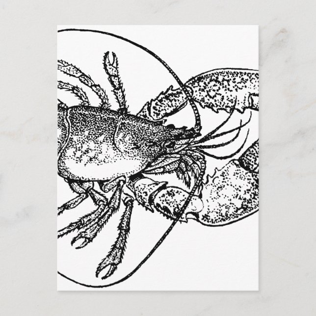 Postal Ilustracion Vintage Lobster (Anverso)