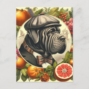 Postal Ilustracion Vintage Napolitano Mastiff